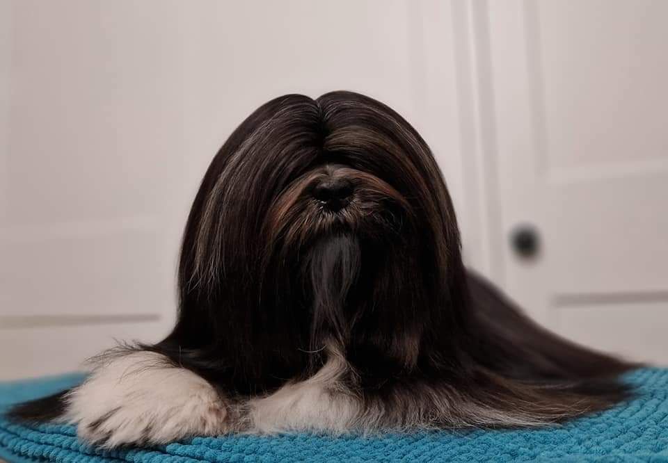 Naomi Dreamed A Dream